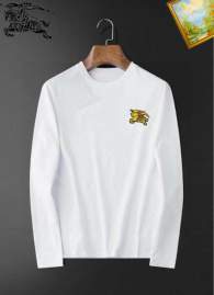 Picture of Burberry T Shirt Long _SKUBurberryS-4XL25tn2049948